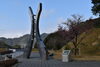 桜「舞鶴引揚記念館　「桜情報」」