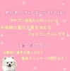 「第4回わんわんフォトコンテストのご案内♪」