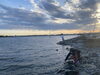 花冠のお花は使い終わった後、海に返します。「葛西臨海公園★」