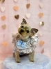 ぽん太くん「ピンクバレンタイン💕」