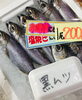 「西海物産館・魚魚市場おすすめ商品は「鮮魚コーナーの魚介類」です♪」