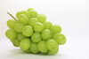 「お中元に島根県産ぶどうはいかがですか🍇」
