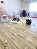 今日も… 笑「ましゅまろ幼稚園　(^-^)」