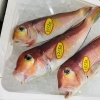 「魚魚市場鮮魚コーナーおすすめは「サバ・白魚」です♪」