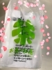 買っちゃった！箱買い。「「飲む点滴」と言われるほど栄養効果が高い「甘酒」！」