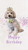 「Dog salon mofu mofu　余市町」