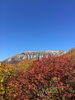 大山、鍵掛峠の紅葉「【カラオケも】日曜日営業中です。【楽しく】」