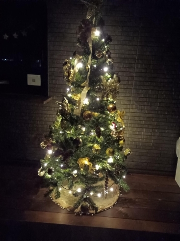 受付前のクリスマスツリー「さくらパーククリスマスイベント」