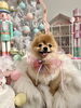 アミちゃん「まだMerry Xmas🎄　笑」