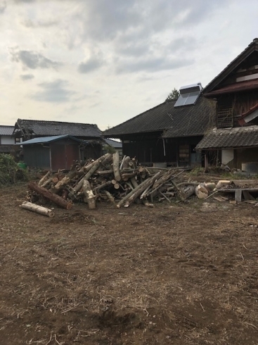 伐採「絶品ネギトロと伐採風景!!城里町で伐採といえば!!」