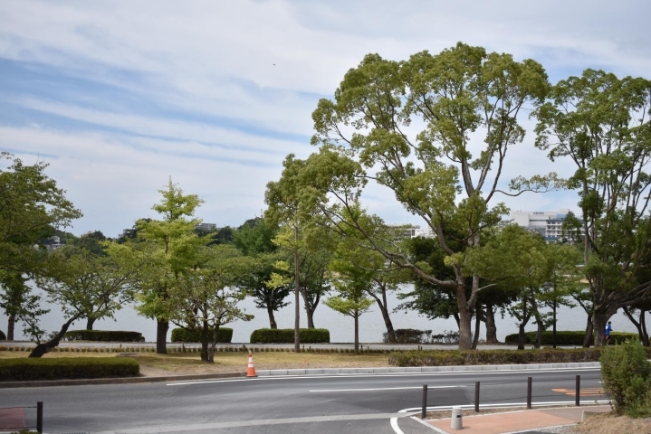 千波湖と偕楽園下の駐車場も営業再開しました まいぷれその日暮らし 水戸情報 まいぷれ 水戸市