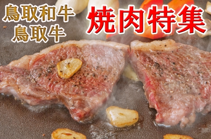「【ふるさと納税】牛肉好きにはたまらない！鳥取県産人気の焼肉特集」