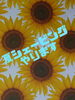 「夏もやります」