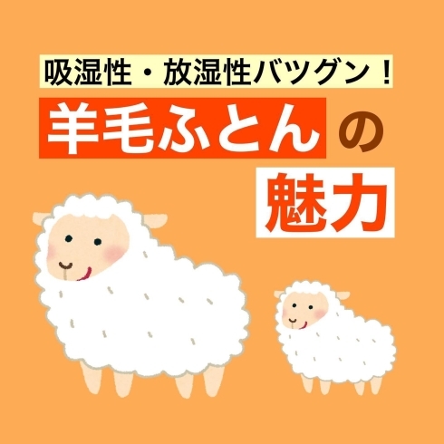 「羊毛ふとんの魅力【岩手県で布団・枕を購入するなら、やよいリビング】」