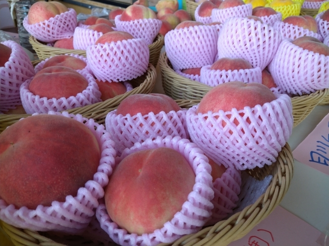 美味しい桃たち！「夏の風物詩！桃の販売始まりました！！【福島市/道の駅つちゆ/土湯温泉】」