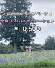 「Summerキャンペーン〖全身リンパ＋キャビテーション〗￥10,500」