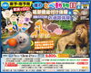 「夜の動物園へバスツアーで行こう」