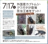 本日は「カブトムシ＆クワガタ展示」！さらに抽選会もあります！！【木更津市民会館の隣りにある総合住宅展示場】 | 木更津住宅公園のニュース |  まいぷれ[木更津市]