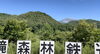 林鉄バイクからの写真「梅雨が明けました。気持ち良いです。林鉄バイクからの景色。【木曽 遊び 王滝 御嶽山 】」