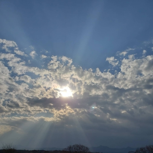 「強い紫外線に気をつけて！　～平田の隠れ家～」