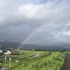 地震保険のご確認