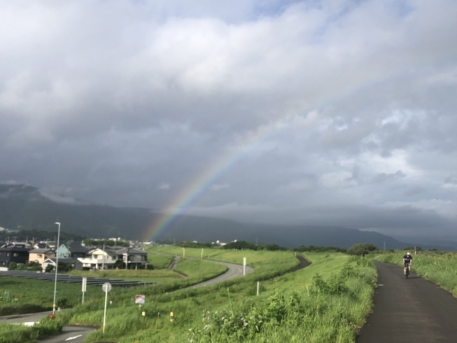 吉野川市鴨島町知恵島側の中央橋付近「地震保険のご確認」