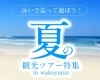 夏特集パート１「【ゆたか旅案内所公式HPで夏特集パート1公開中！】」