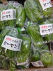 京丹後産ピーマン「こんな野菜あります[阪急桂駅西口徒歩3分食品スーパー]」
