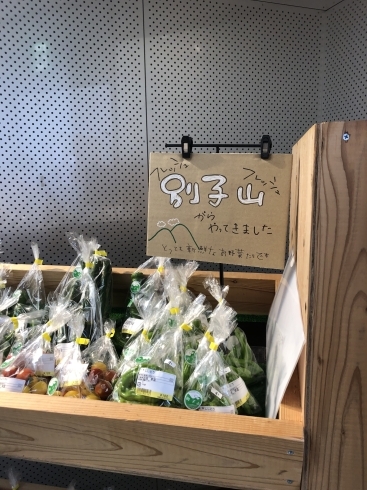 別子山からの野菜「別子山から到着!」