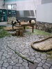 「ピュアリーとゆかいな仲間たち」