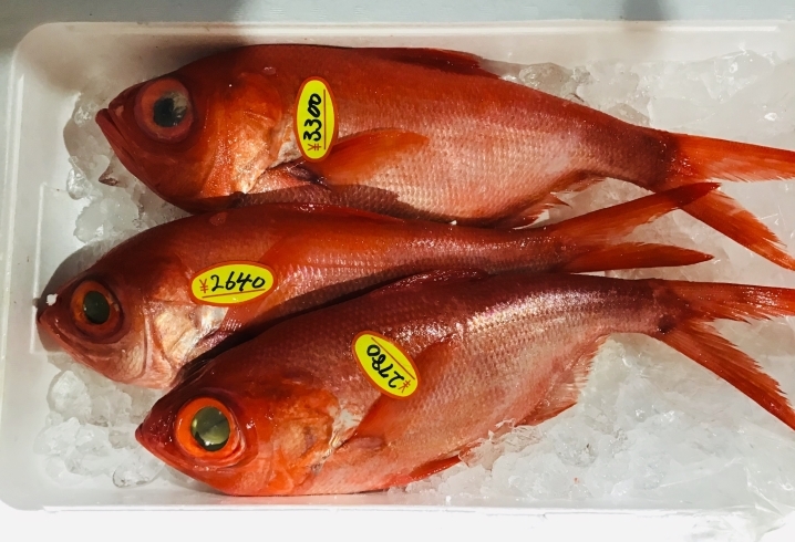 「魚魚市場鮮魚コーナーおすすめは「金目鯛・カンパチ」です♪」