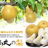 高丸農園の梨をネットでご注文できます