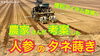 「【拡散希望！】サツマイモ基腐病　タネのハシモト」