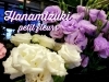 トルコキキョウ「涼し気なお花入荷してます✨」