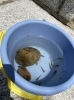 この魚の種類はなんでしょね？笑「夏休みが始まりました！♡【まいぷれ西京区・南区・編集部】」