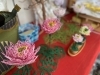 蓮の花「蓮の花が見頃の季節ですね♪ 【福島市 新たな趣味に水引はいかがですか?】」