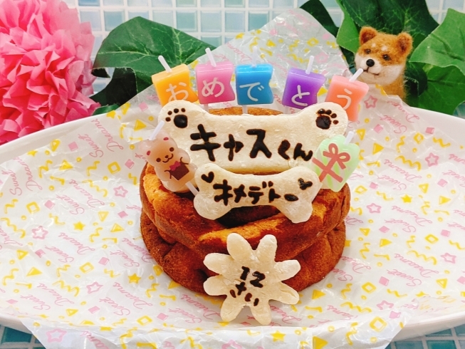 犬用バースデーチーズケーキ げんきのおやつ For Dogのニュース まいぷれ 千葉市緑区