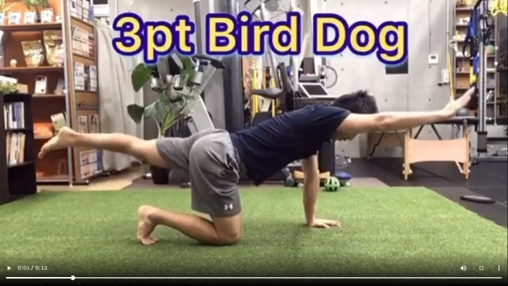 「【体幹強化/3pt Bird Dog】【行徳・南行徳で筋トレできるパーソナルトレーニングジム】」