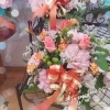 AUTUMN SALE】 立体リメイク鉢 4点セット 多肉植物 多肉 寄せ