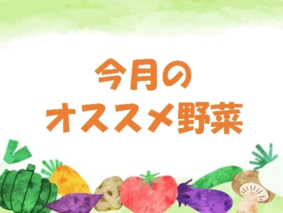 今月のオススメ野菜「☆今月のお野菜　その2☆」