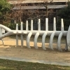 晴海公園