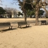緑町公園