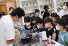 「伊那市産の桜を使った、桜もちづくり体験教室開催しました【伊那市駅すぐのお土産にオススメなお菓子屋、菓子庵石川】」