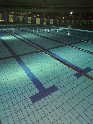夜のプールで練習してみたら、キレイだった！「夜に泳ぐのもイイ【京都市南区・京都テルサ・ジム・プール・こども・駐車場完備】」