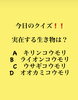 「2月21日日曜日、今日のクイズ!!『実在する生き物は？  A.キリンコウモリ B.ライオンコウモリ C.ウサギコウモリ D.オオカミコウモリ』本日のおすすめmenuは✨鉄火丼……1,100円てす。漁協の食堂で鮪ランチはいかがでしょうか？」