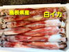 「○本日のお刺身○【島根県産】白イカ、コシナガマグロ」
