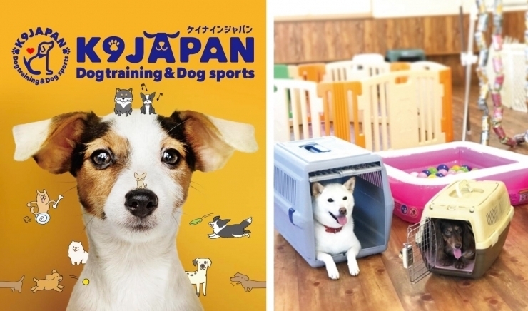 「K9Japan（ケーナインジャパン）愛犬との絆を育むしつけ教室！」