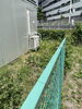 草刈り前「草刈り。横浜市磯子区、金沢区•植木、造園のご相談は庭一。」