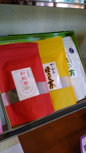 和紅茶・ほうじ茶・水出し緑茶のティーバッグセット「美味しい鹿児島茶お届けします！お中元セール開催中！」