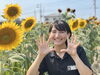 「【西条市 下島山】ひまわりが満開です♪」